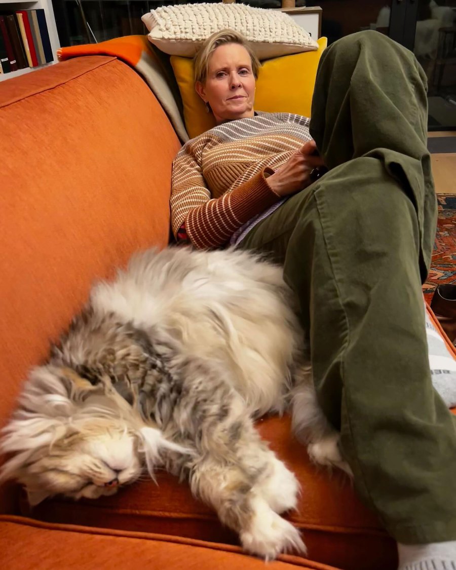 Cynthia Nixon They Cuddle Up for a Catnap Just Like Us