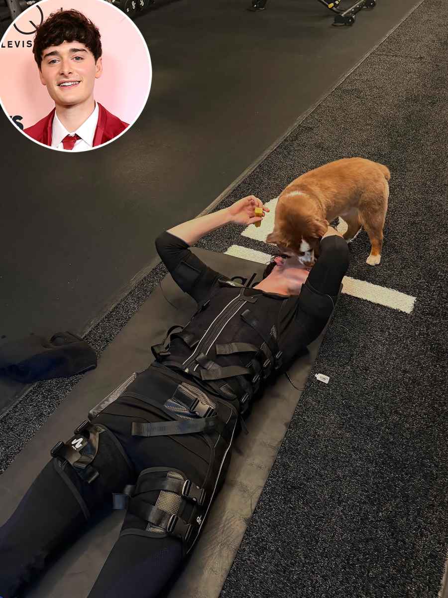Noah Schnapp Their Dogs Interrupt Their Workouts Just Like Us