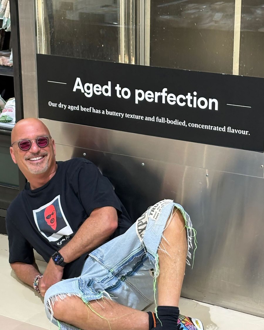 Howie Mandel They Love a Visual Pun Just Like Us