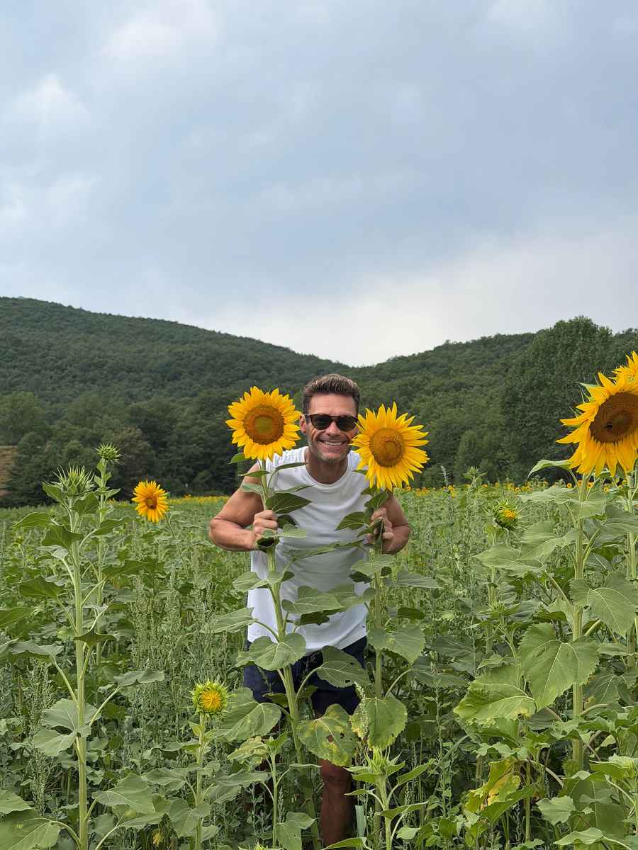 Ryan Seacrest They Appreciate Sunflowers Just Like Us