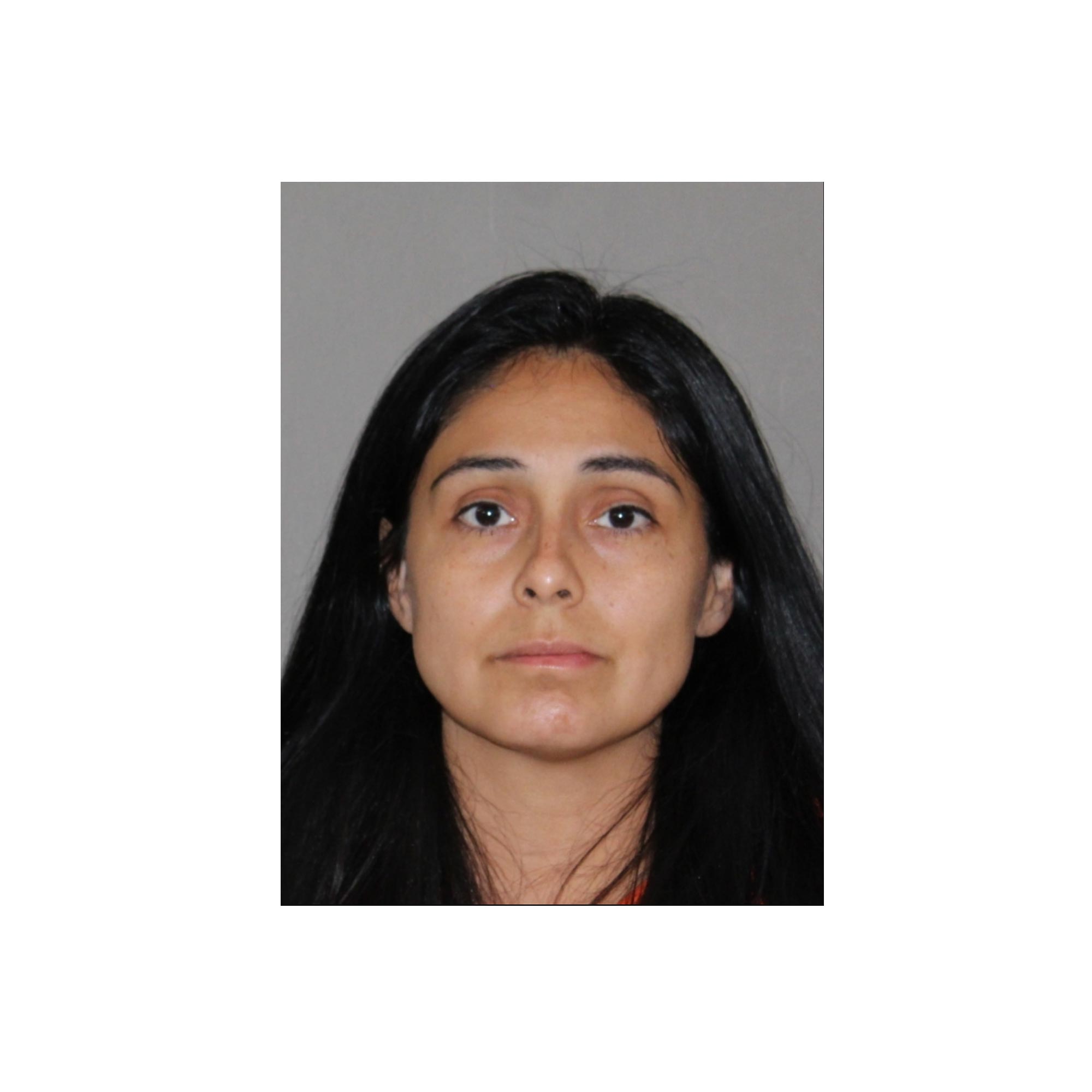 Mom Allegedly Stabbed Baby Child and Husband at Texas Home